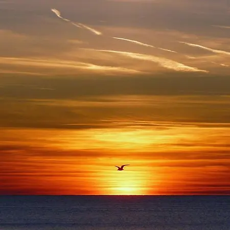 Le-clochard Nyaraló *